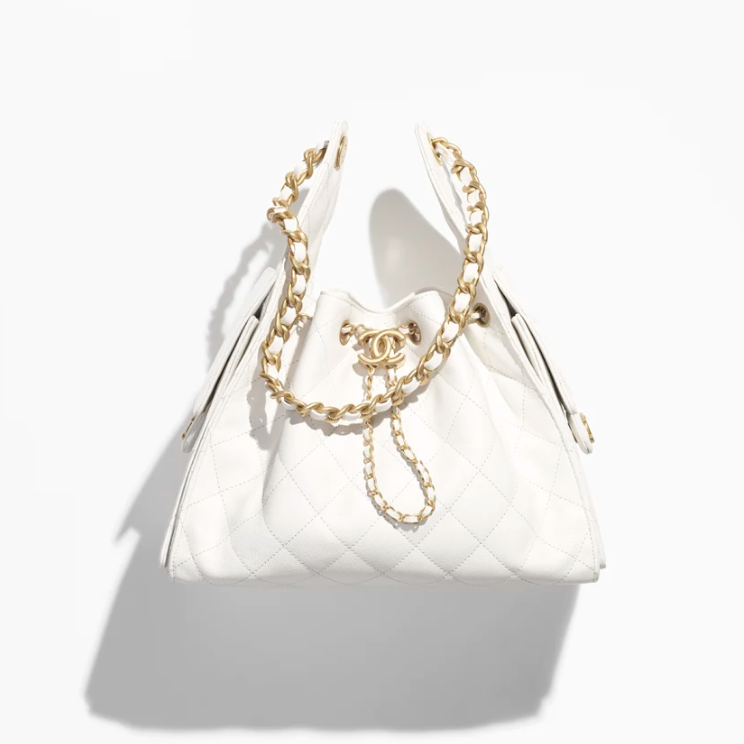 CHANEL 25 Small Handbag